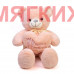 Мягкая игрушка Медведь DL108501903NP